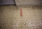 Aufnahmen vom 20.1.2013 des Raums 12a im Erdgeschoss des Nordflügels der zentralen Untersuchungshaftanstalt des Ministerium für Staatssicherheit der Deutschen Demokratischen Republik in Berlin-Hohenschönhausen, Foto 149