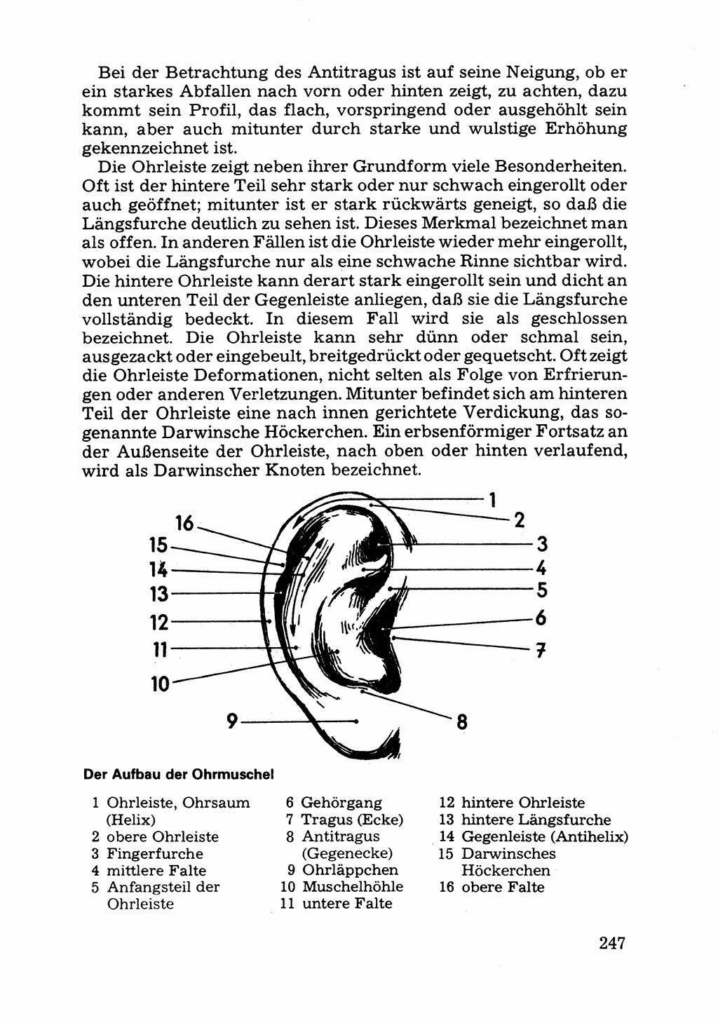 Das subjektive Porträt [Deutsche Demokratische Republik (DDR)] 1981, Seite 247 (Subj. Port. DDR 1981, S. 247)